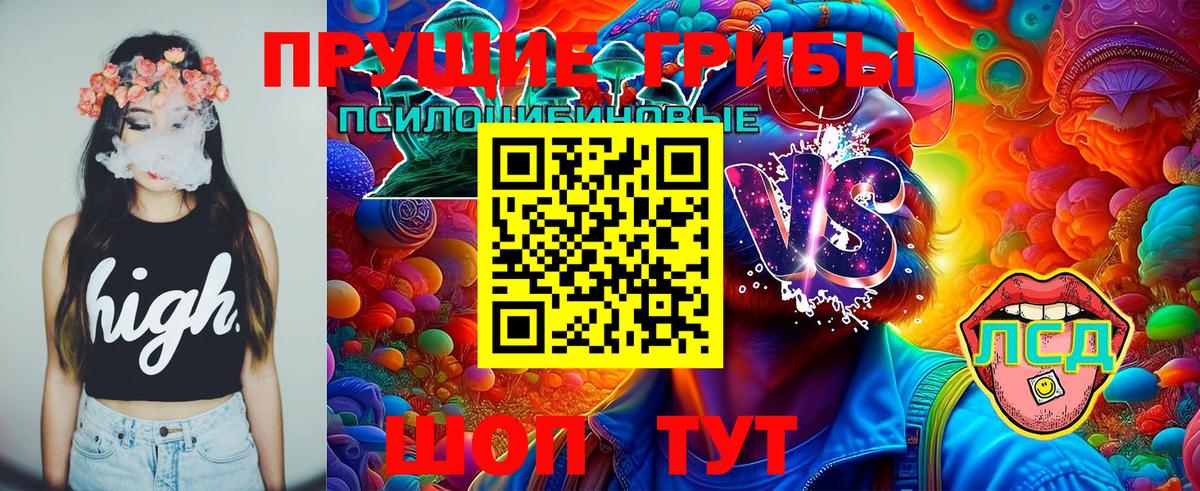 Галлюциногенные грибы GOLDEN TEACHER  Вход с VPN  Псилоцибиновые грибы MAGIC MUSHROOMS  Мирный 