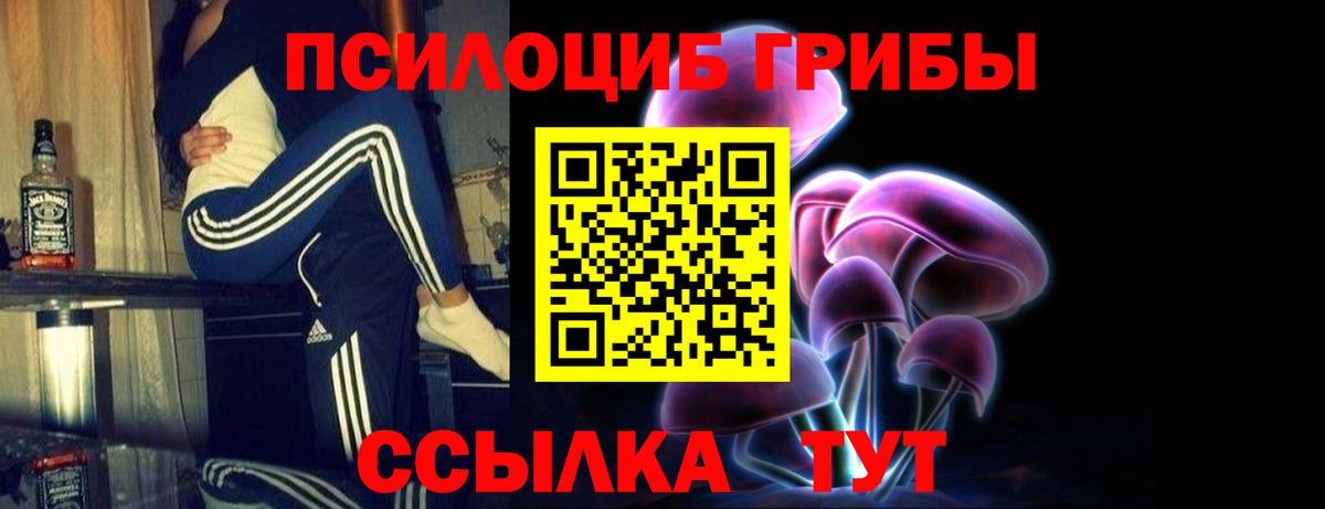 Псилоцибиновые грибы мухоморы Мирный